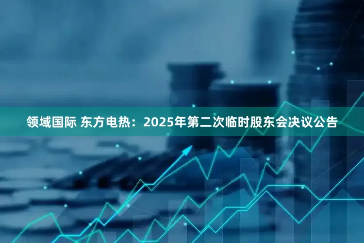领域国际 东方电热：2025年第二次临时股东会决议公告